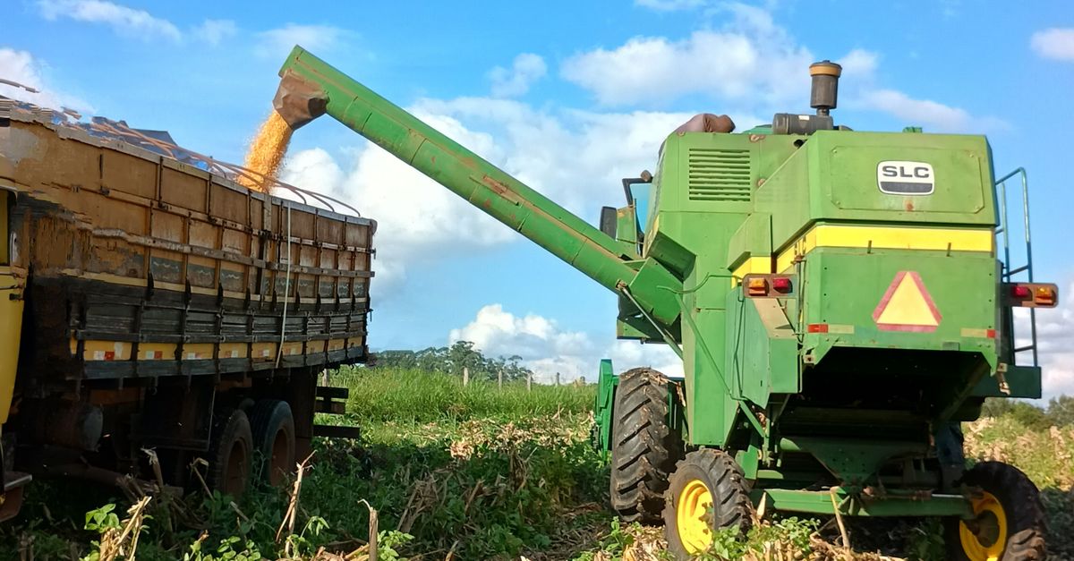 Las certificaciones de comercio justo y sus beneficios para productores y consumidores Las certificaciones de comercio justo y sus beneficios para productores y consumidores