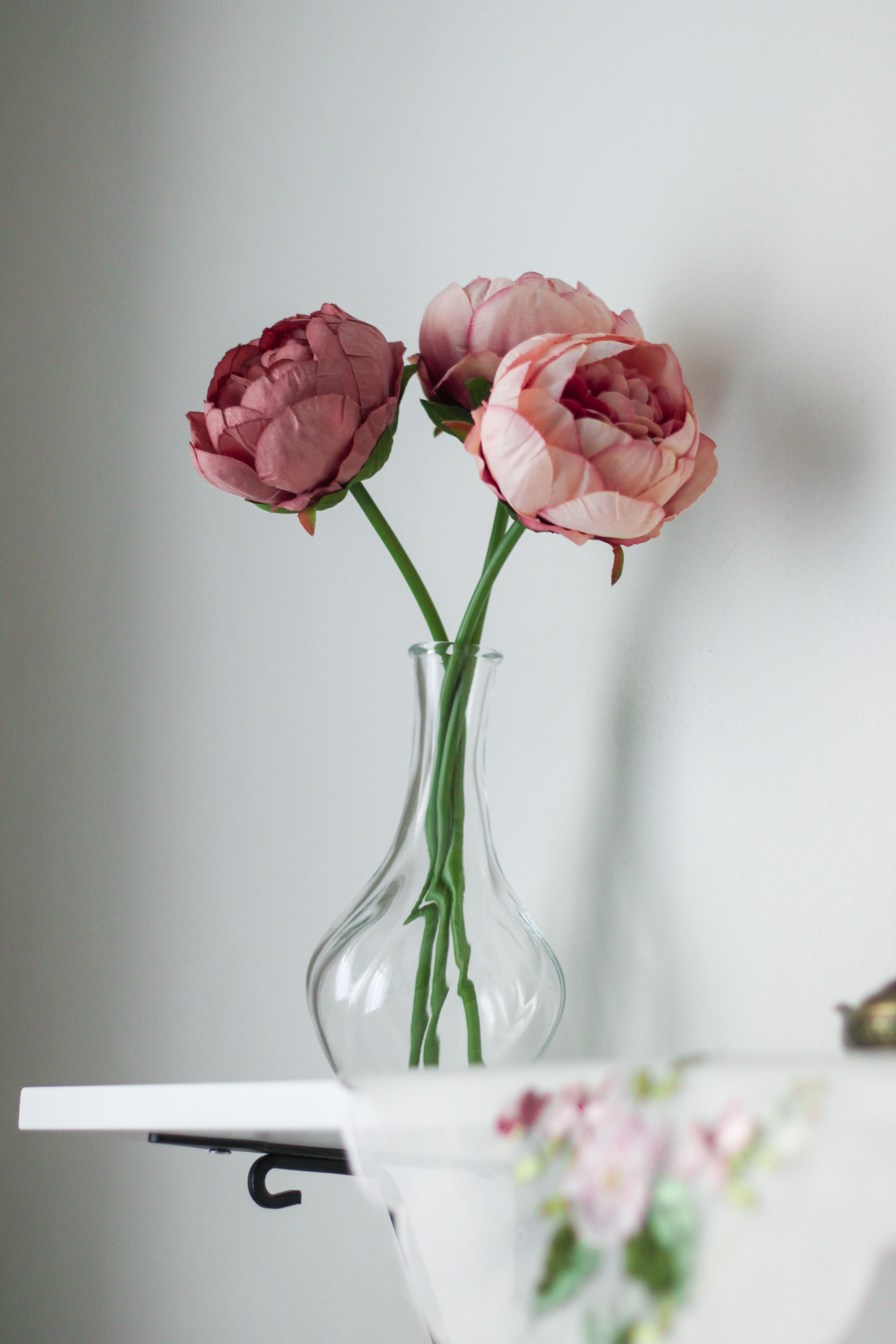 Elegant Pink Peonies in a Glass Vase · Free Stock Photo