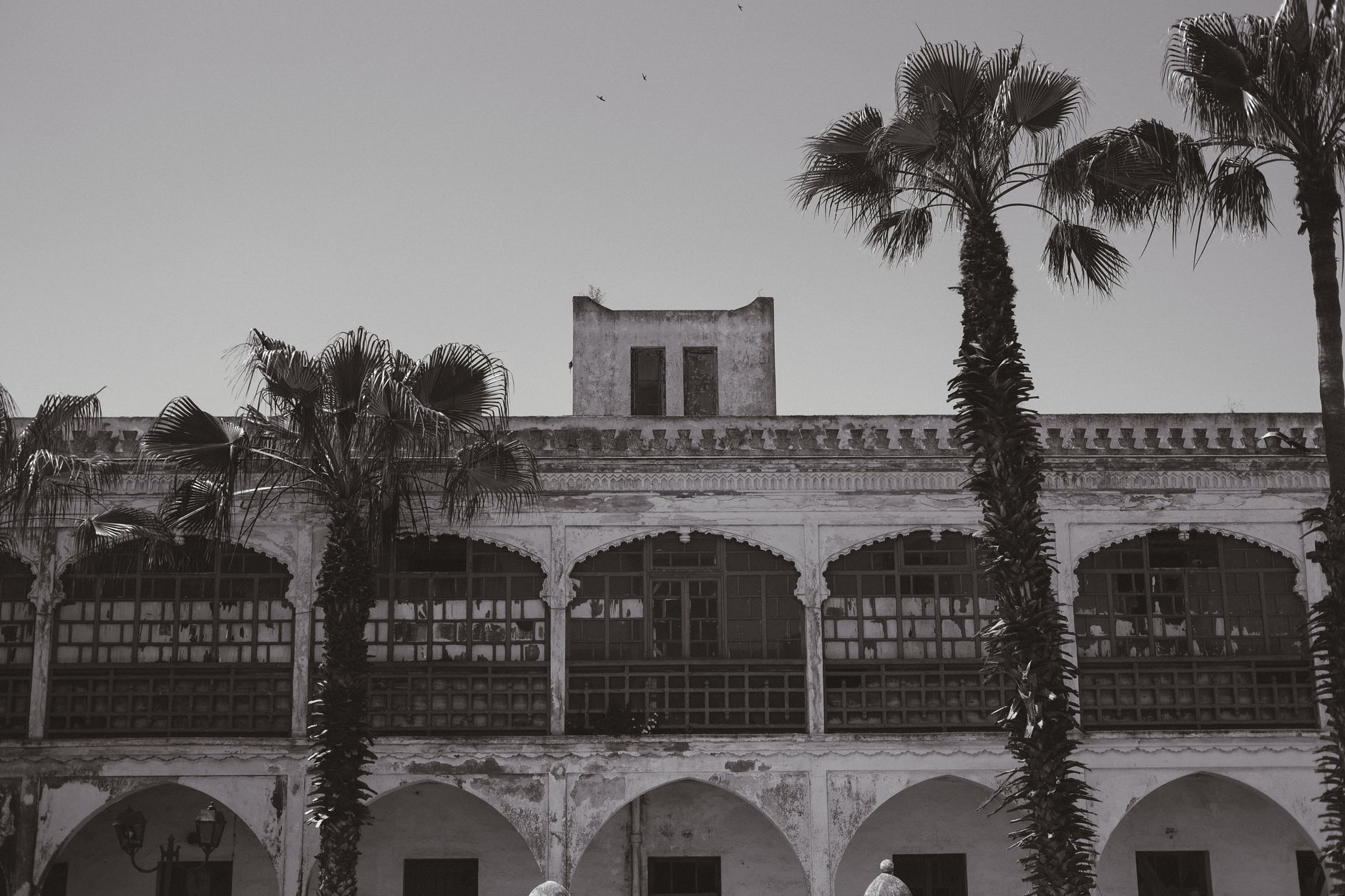 Black and white photo of historic architecture and palm trees in El Jadida, Morocco.