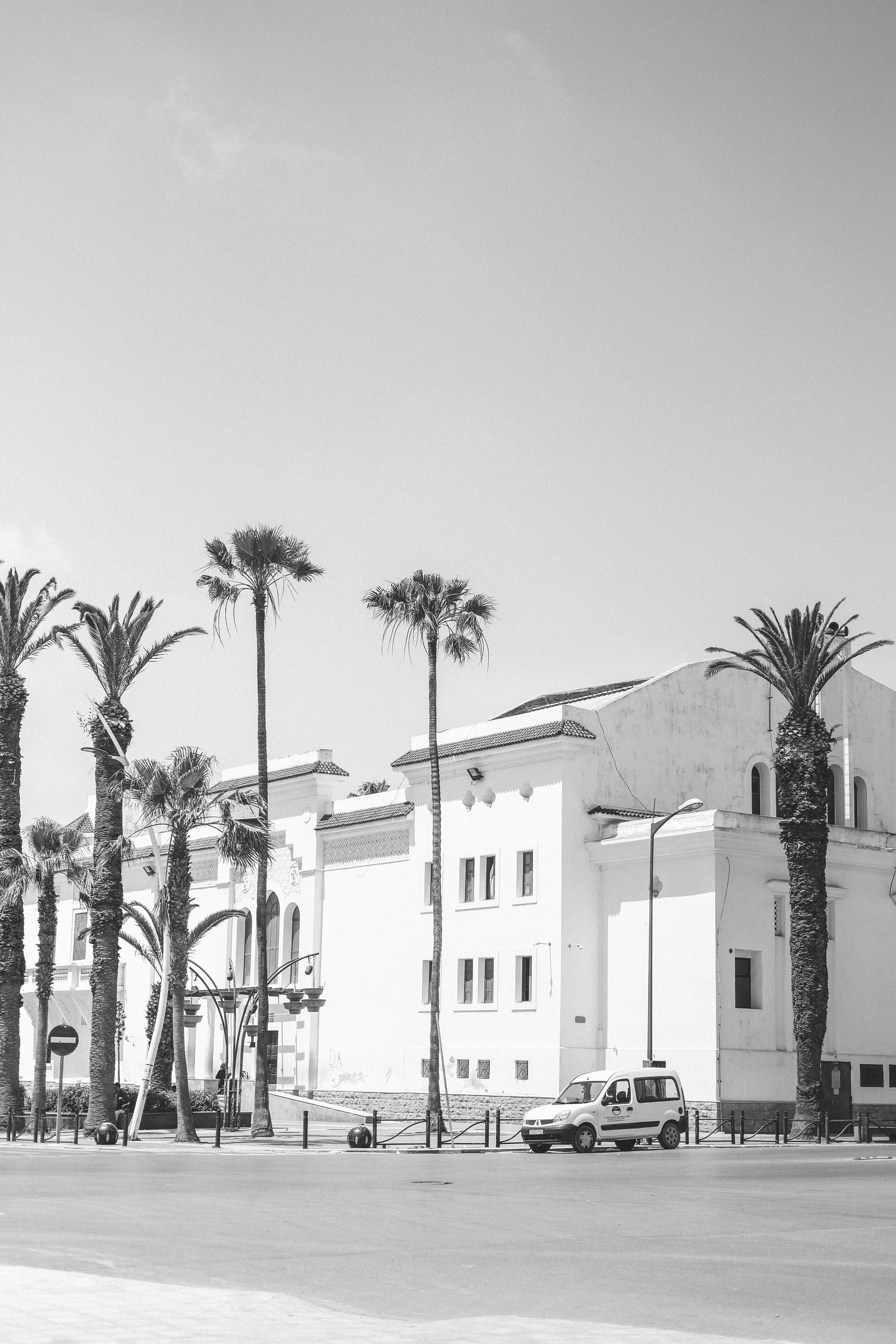 Black and white photo of historic architecture and palm trees in El Jadida, Morocco.
