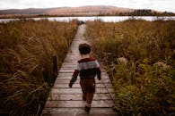 Boy Walking on Wooden Pathway Beside Plants during Day