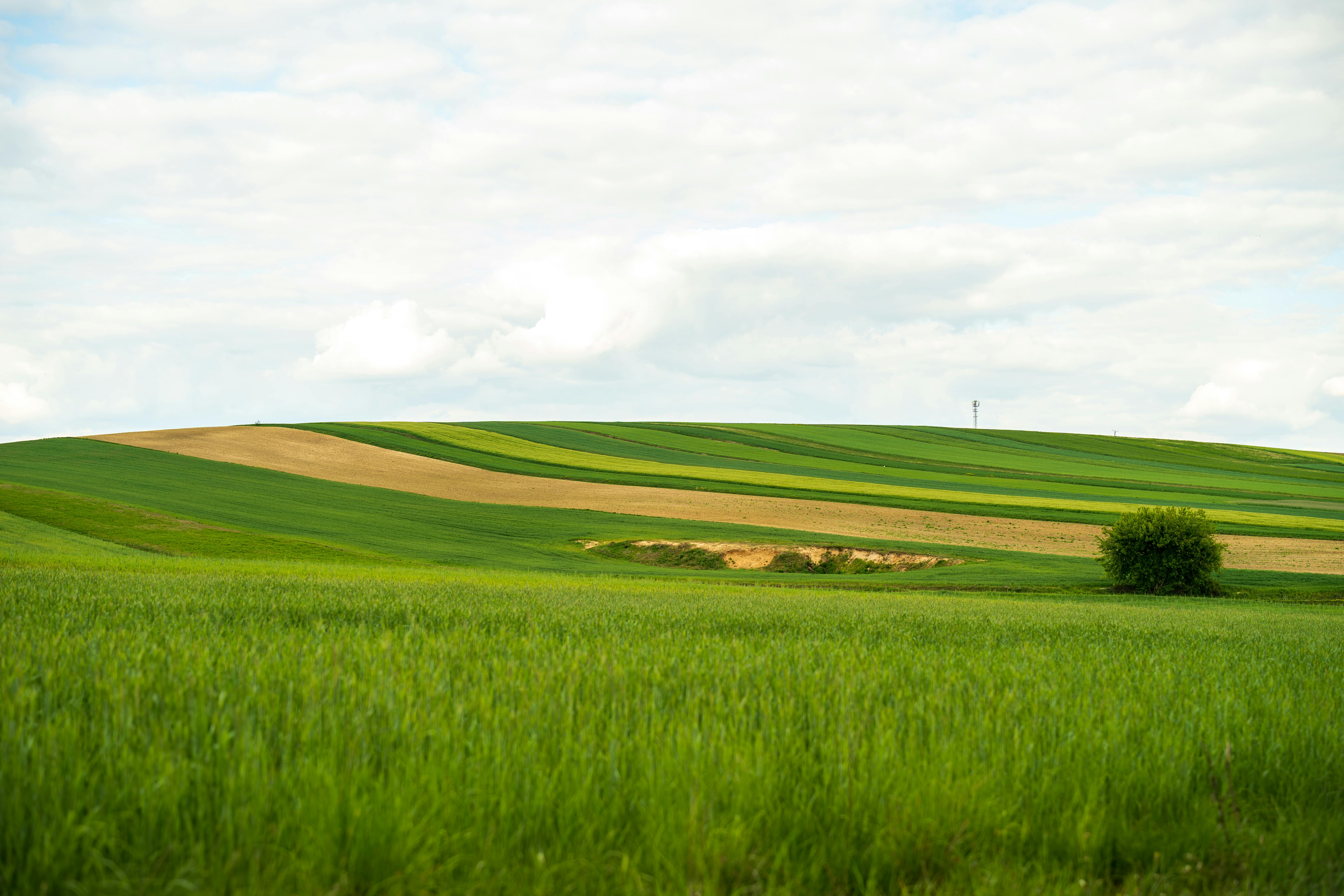 Rolling Green Hills Landscape in Olkusz, Poland · Free Stock Photo