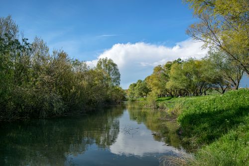 Free Tranquil river scenery with lush green trees reflected in calm water. Stock Photo