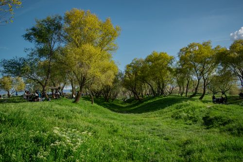 Free A lush green park with people relaxing under sunlit trees. Stock Photo