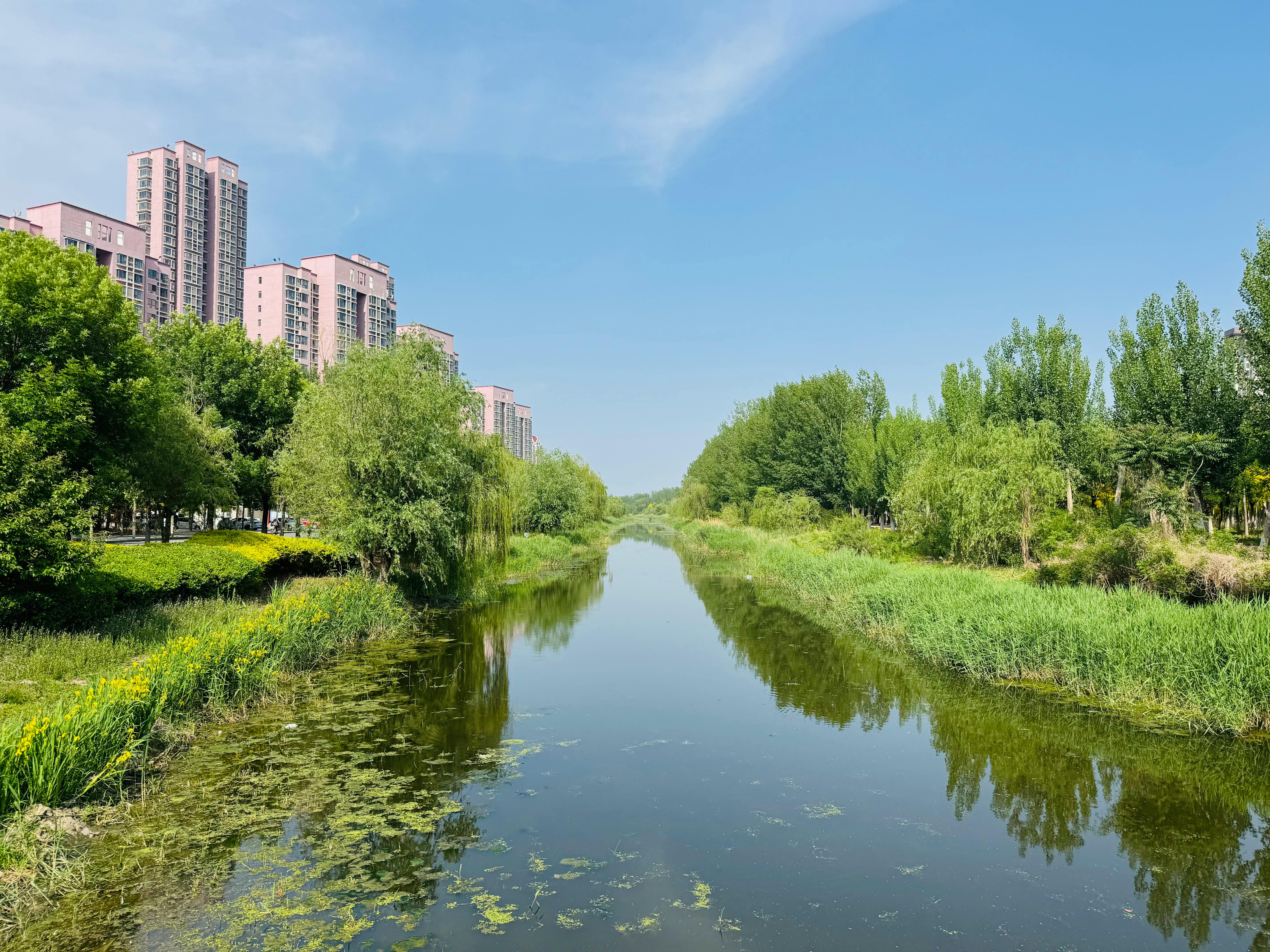 In China, Even Complaining About Property Management Can Be Political — Photo by Shuaizhi Tian on Pexels