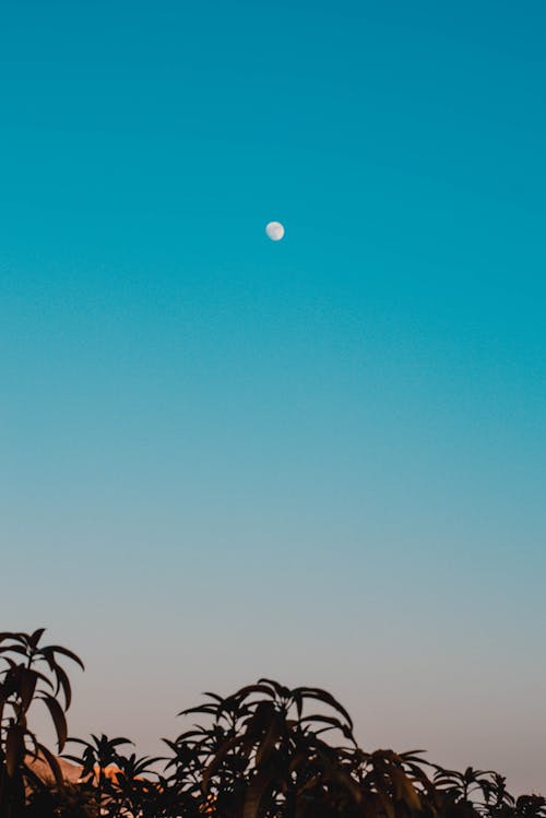 A Moon on the Blue Sky