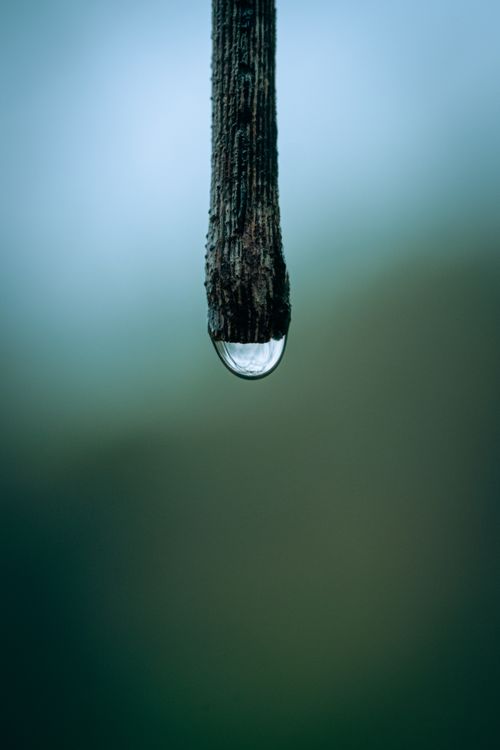 Free Close-up of a water droplet hanging from a twig, showcasing nature's beauty. Stock Photo