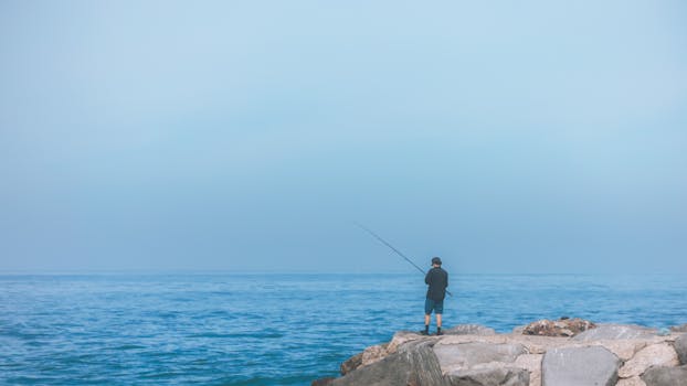 A person fishing alone on rocky seaside, exuding calm and tranquility under a clear blue sky.