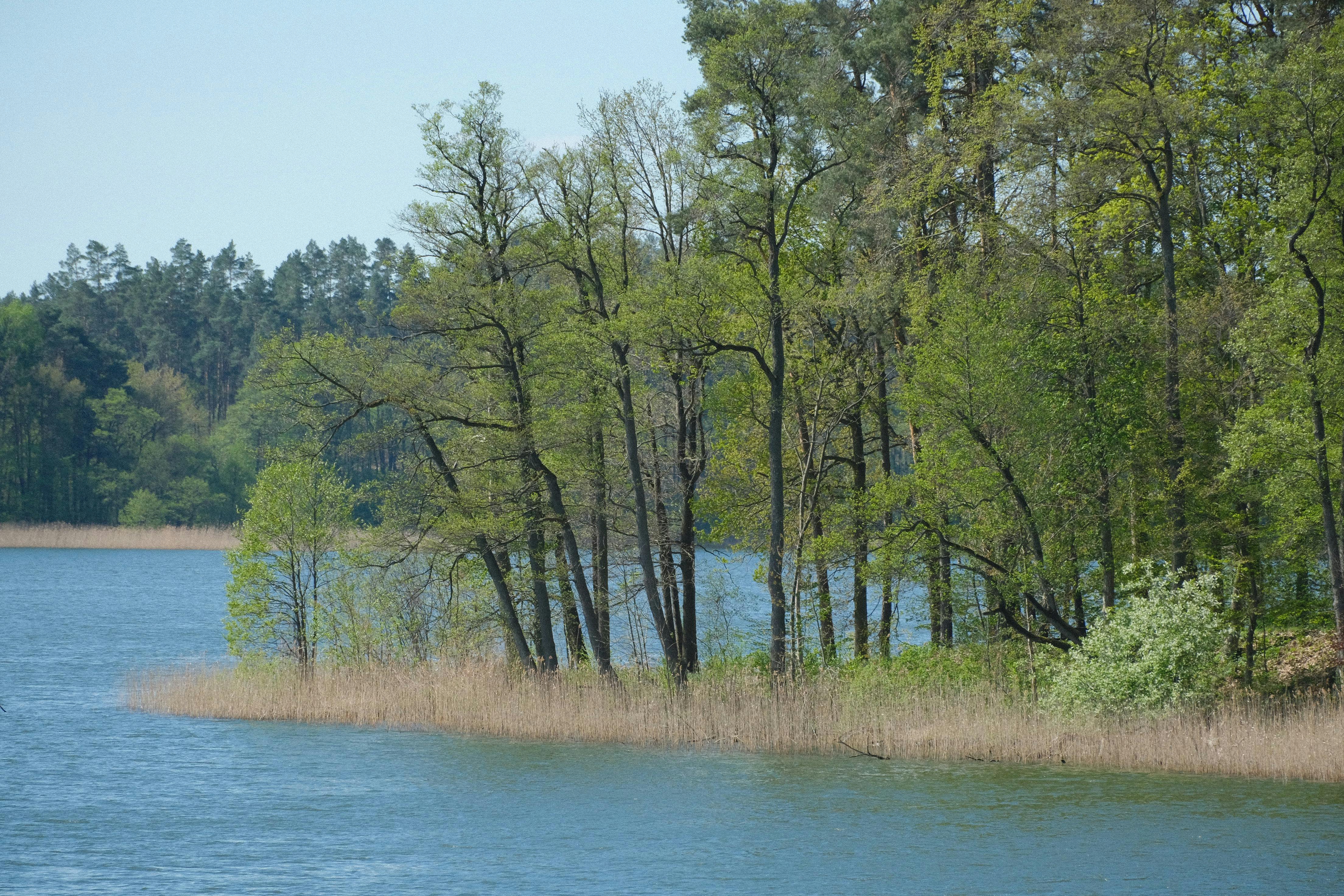 Returning to Shore: Reflection and Renewal