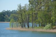 Beautiful spring landscape featuring a tranquil lake and vibrant green trees, perfect for nature lovers.
