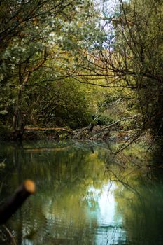 Image by Muhammed Şahin