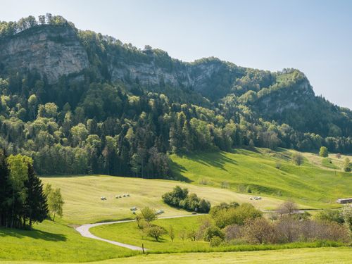 Free Beautiful lush mountain landscape with vibrant greenery and clear blue sky, perfect for nature and travel themes. Stock Photo