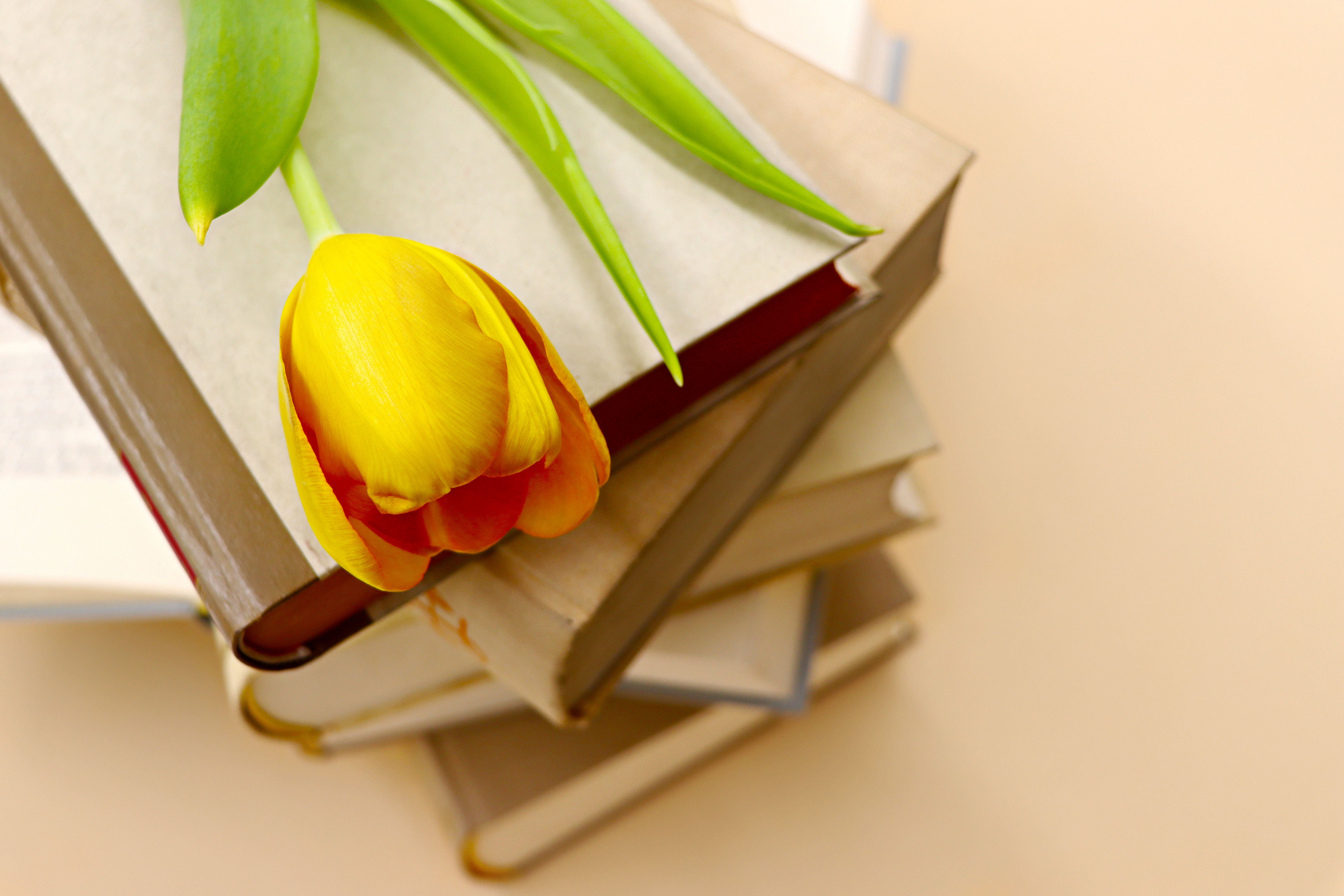 Personal Growth Books That Will Bring Positive Energy for 2026, According to Readers — Photo by Marta Branco on Pexels