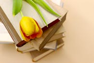 Yellow Tulip with Books on Beige Background