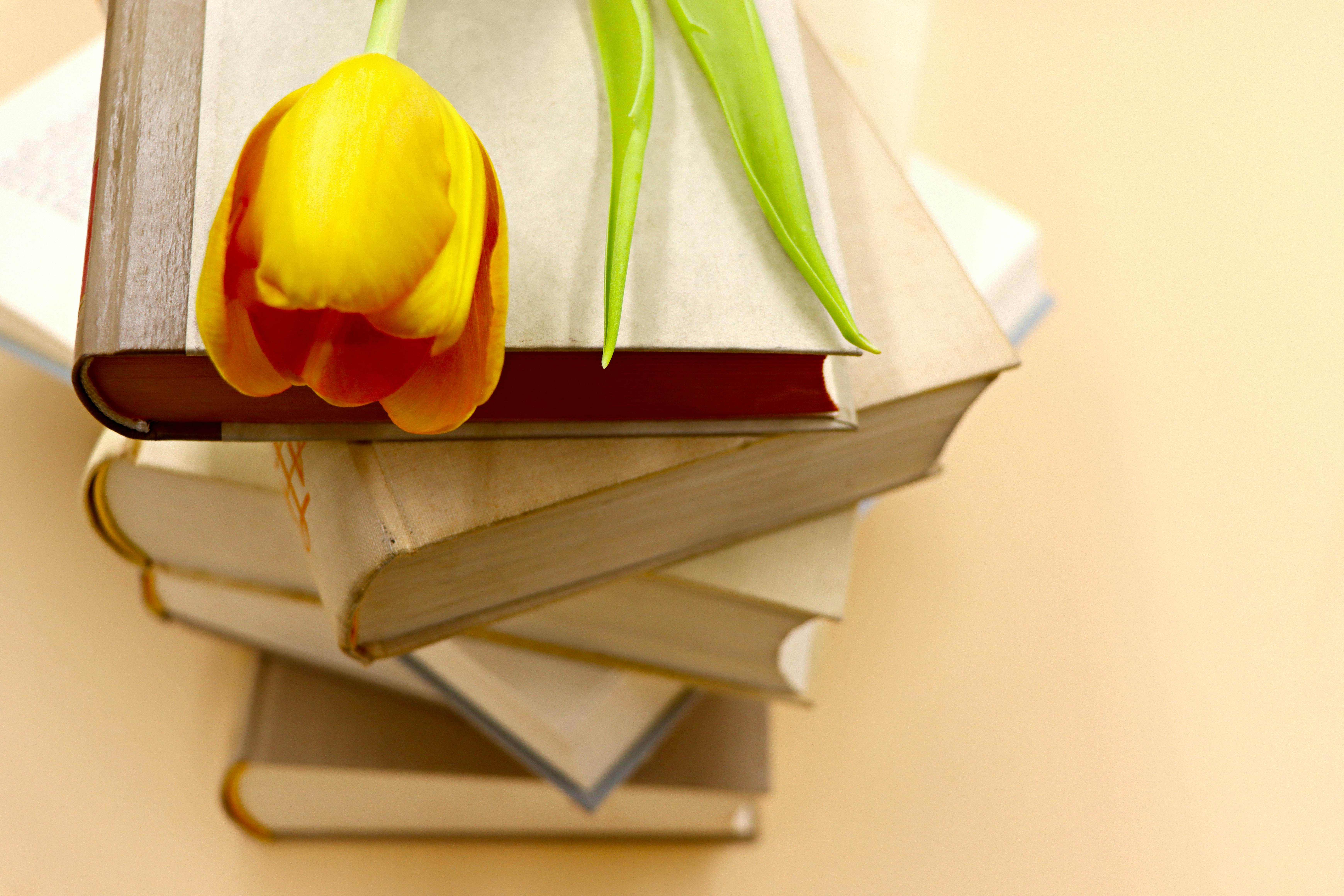 28 Self Development Books To Change Your Life In 2026 — Photo by Marta Branco on Pexels