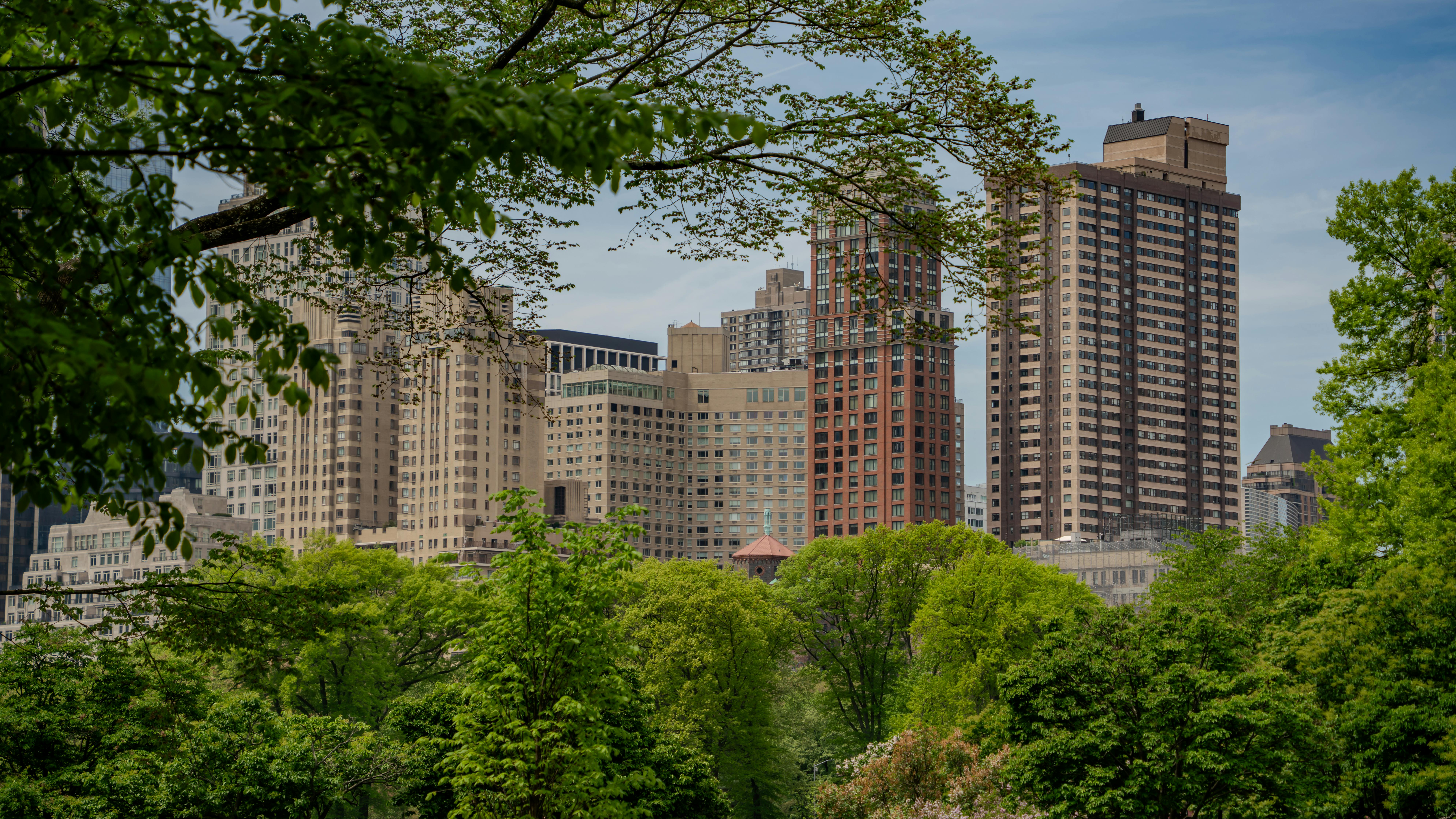 Lush greenery frames Manhattan skyscrapers from Central Park, New York City.