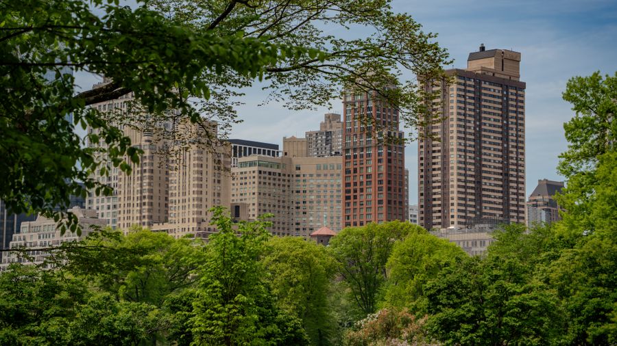 A view of Central Park South skyline framed by green trees, likely Central Park in spring/summer