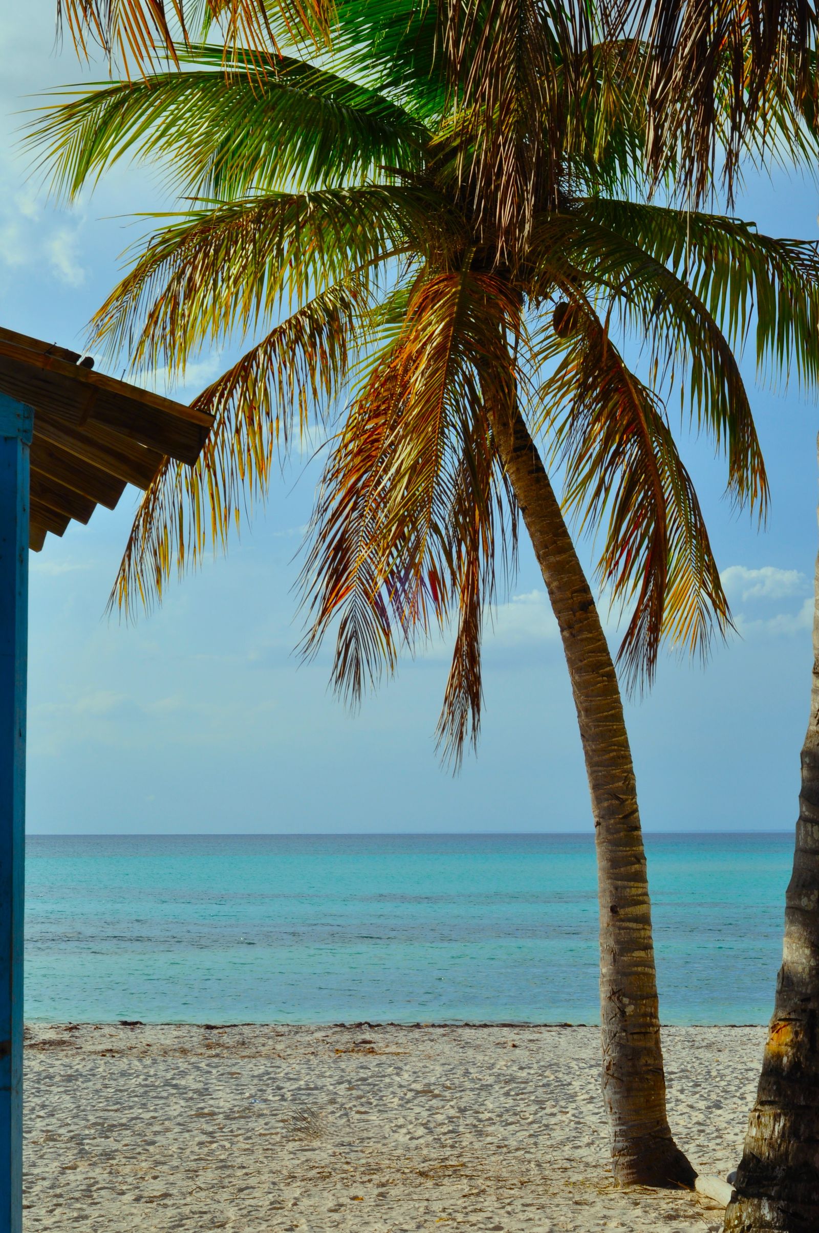 Cabo Rojo presents its tourism development plan to the World Bank — Pedernales / Cabo Rojo