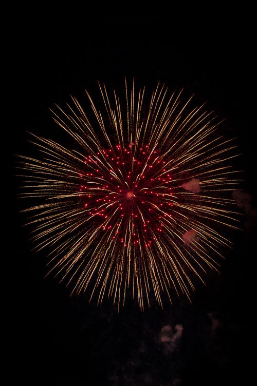 Free Stunning firework display with red and gold sparks bursting against a dark night sky. Stock Photo