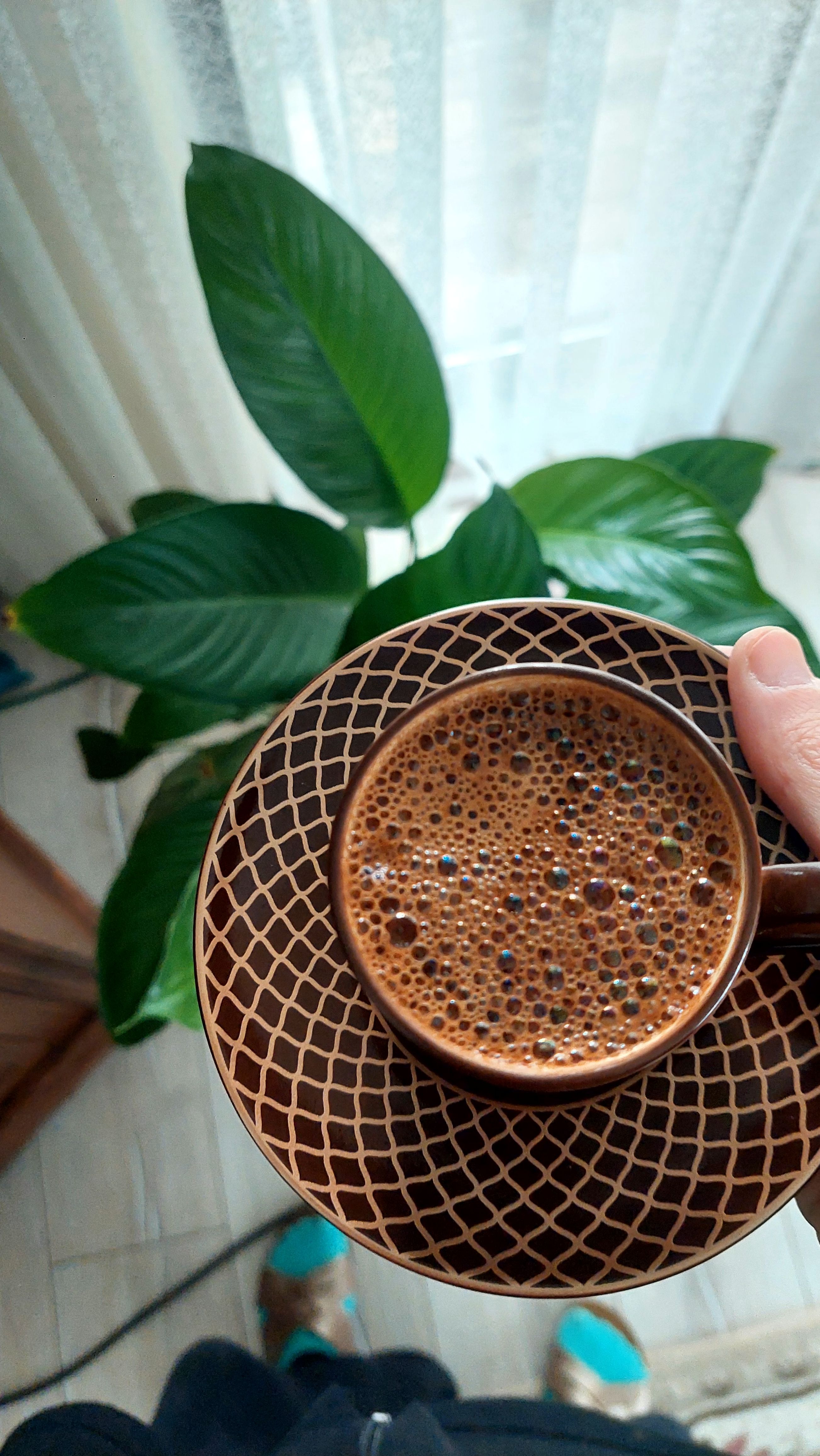 Aerial view of a coffee cup with foam next to green houseplant indoors.