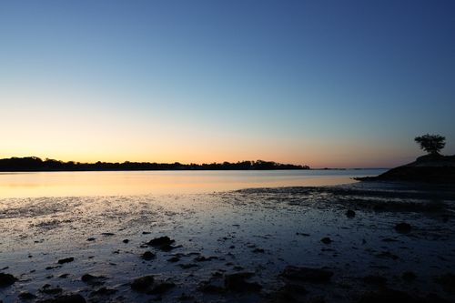 Free Tranquil morning landscape of Cove Island Park during sunrise in Stamford, Connecticut. Stock Photo