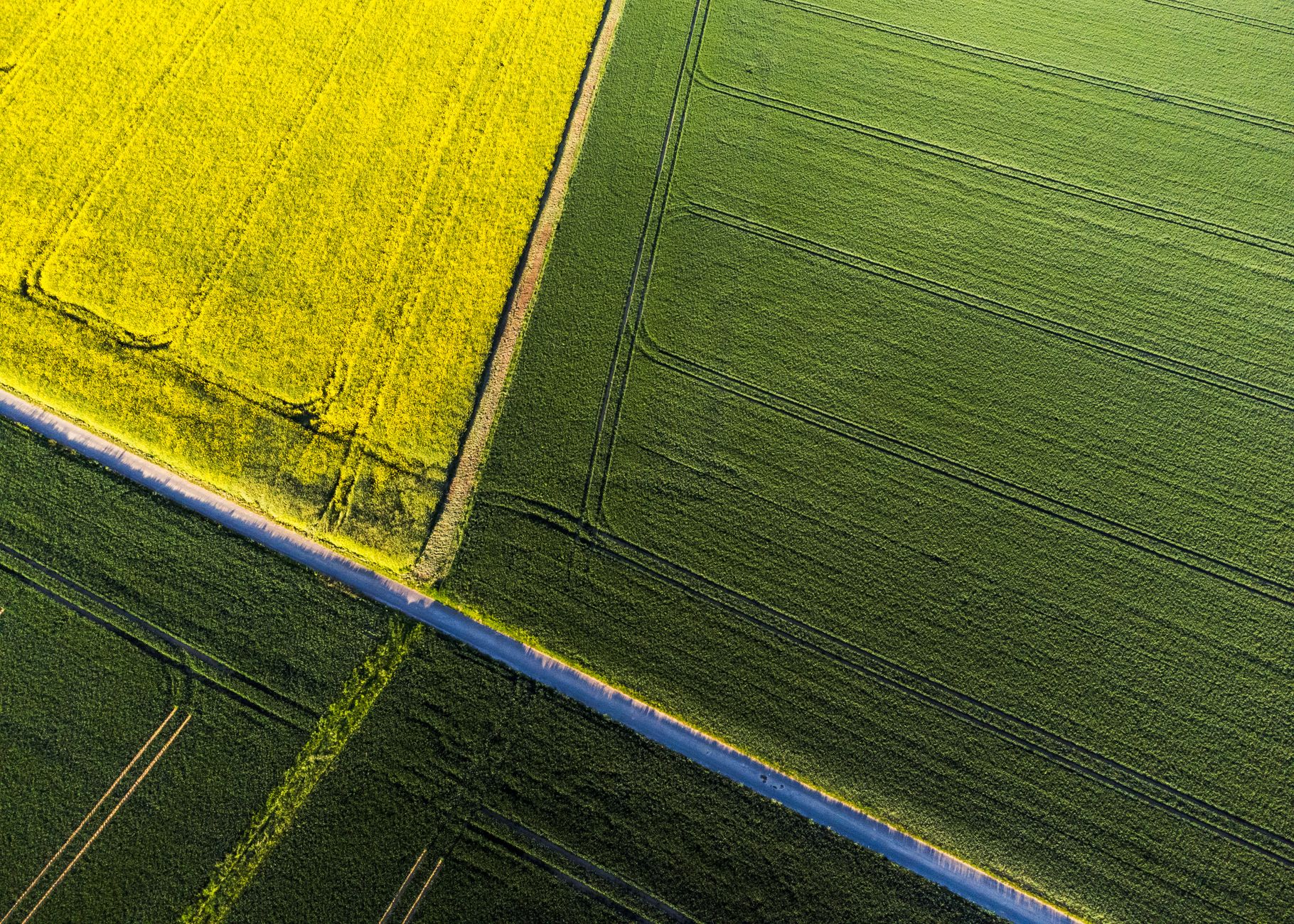 Farmers for Soil Health raises rates to $35/acre, simplifies contracts