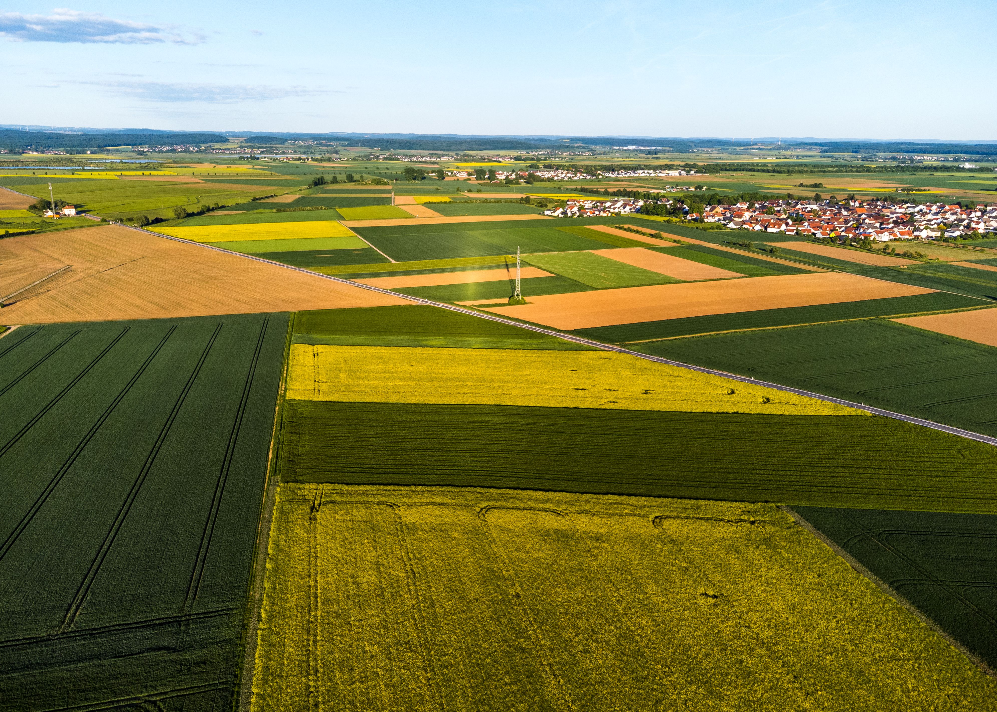 Rewilding Farmland Boosts Biodiversity by 150% and Enhances Ecosystem Services