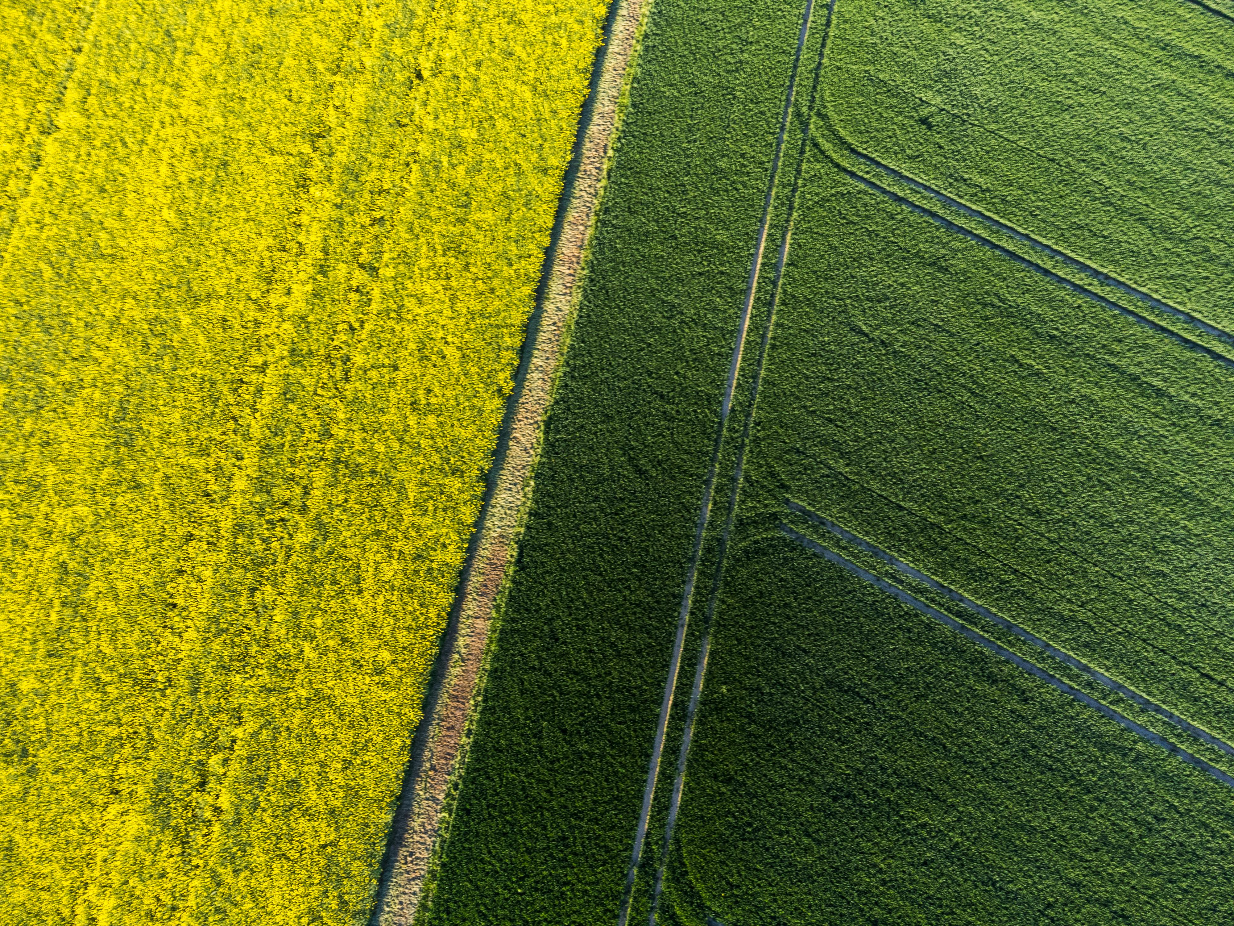 bezplatná Snímek z dronu zachycující kontrastní žlutá a zelená pole shora. Základová fotografie