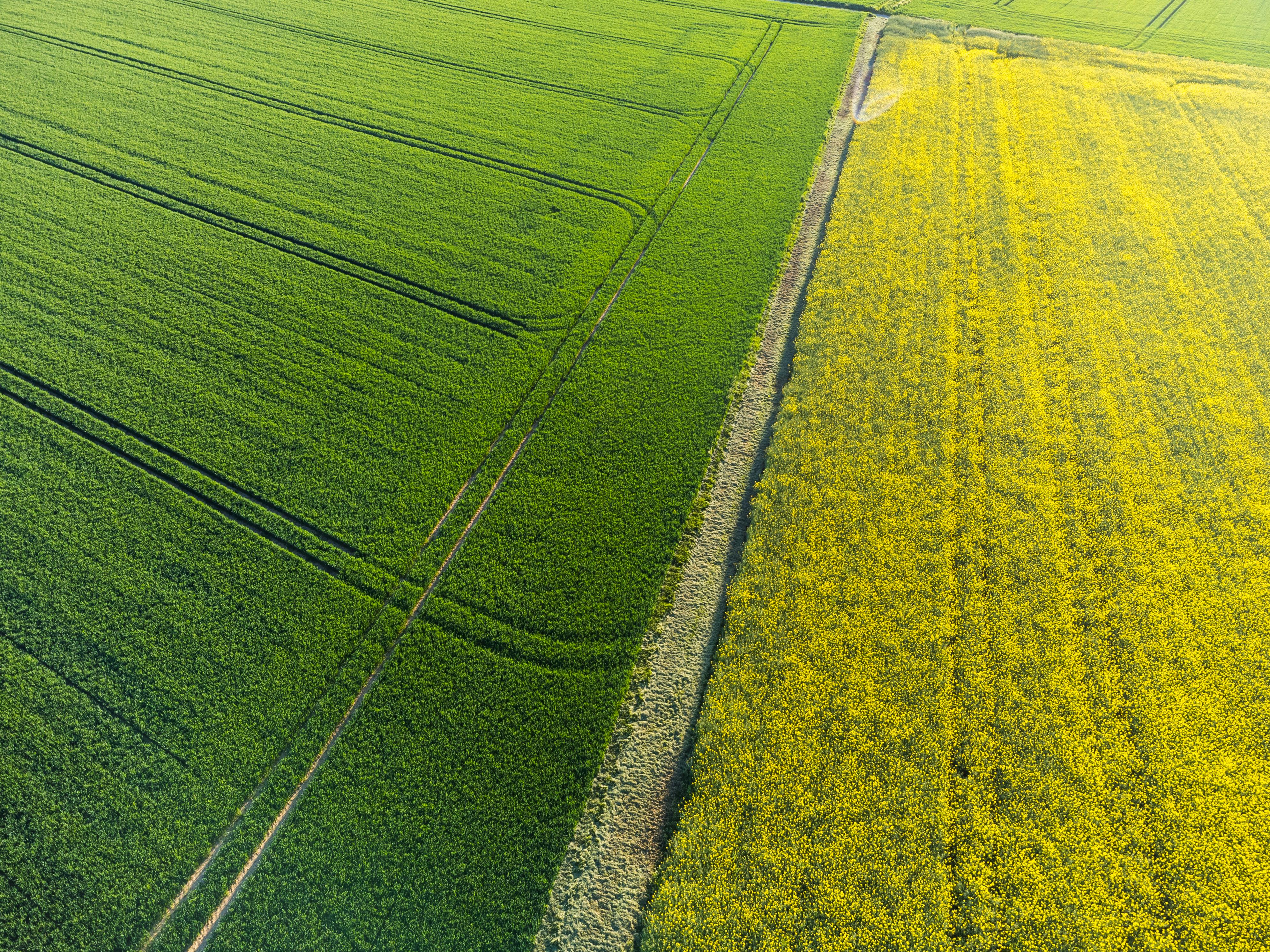 ACRES ESG, Executive Compensation, and Corporate Governance: 2025 SEC Filing Overview — Photo by Masood Aslami on Pexels