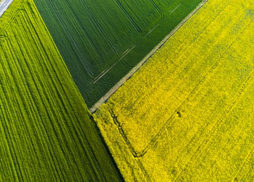Free A stunning aerial view of green and yellow fields in full bloom, creating a vivid contrast. Stock Photo