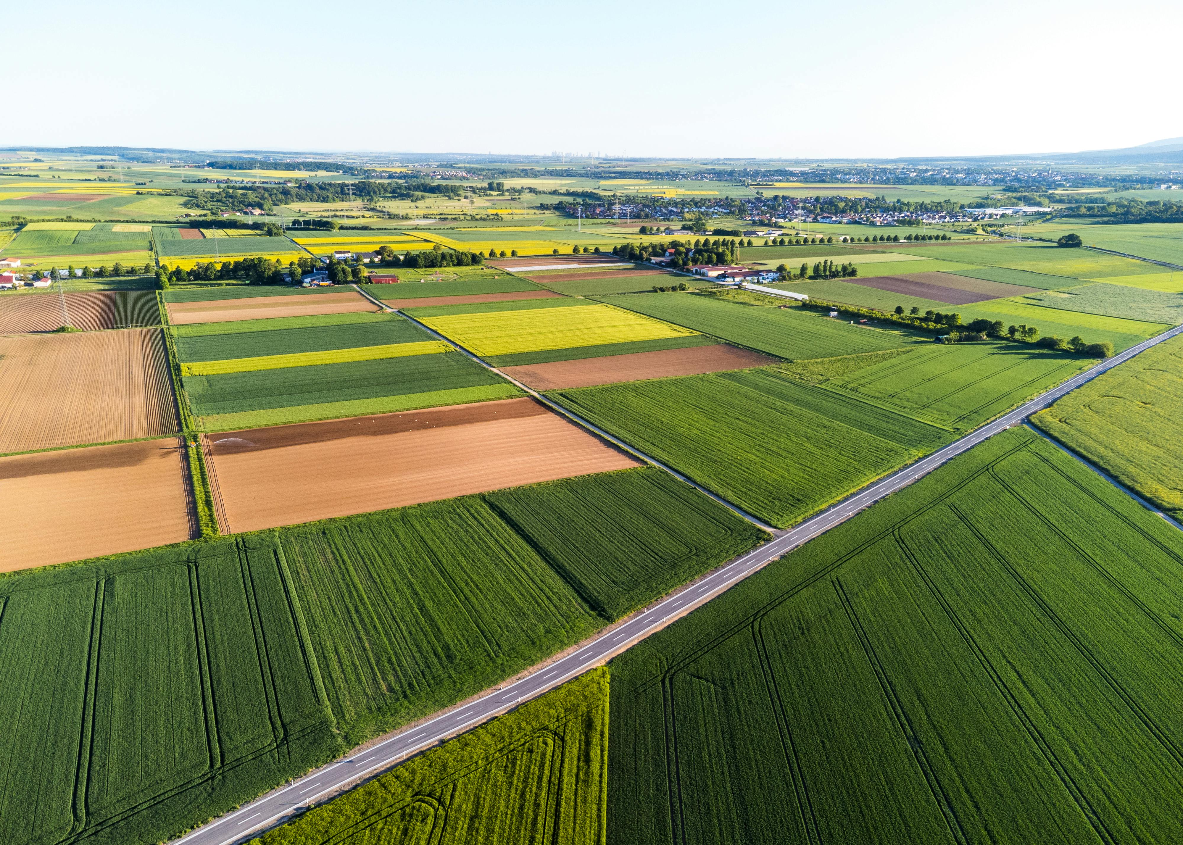 Year-end financial planning for farmers — Photo by Masood Aslami on Pexels