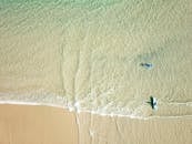 Surfers Paradise Beach