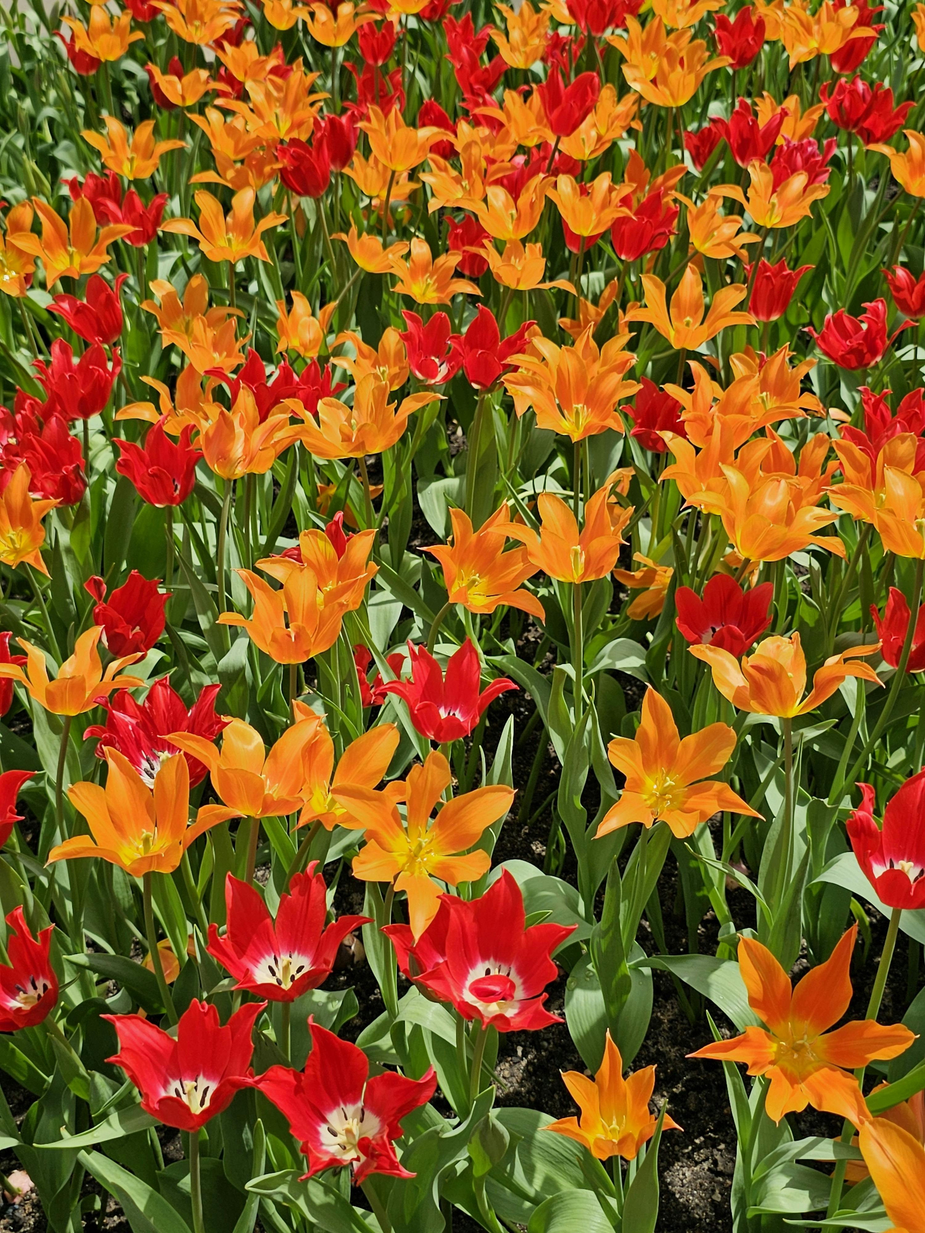 Full Frontal Nudity Photos, Download The BEST Free Full Frontal Nudity