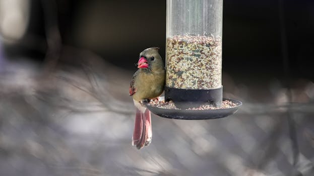 Bae Hyeon Seong, Lee Re, dan Han Suk Kyu Siap Bikin Heboh di Drama Baru! - hyeon 1