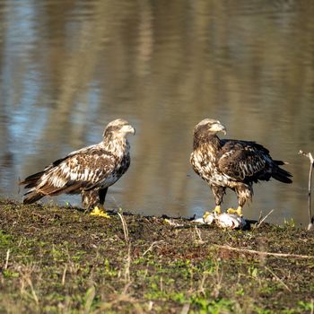 欢迎来到问鼎APP1 - 您的专属娱乐平台 - 问鼎APP1