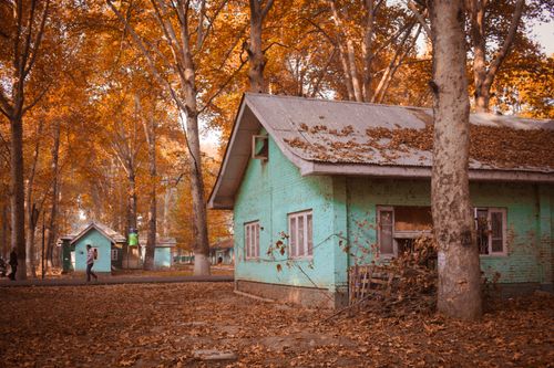 Free Charming green house amidst vibrant fall foliage in Srinagar, Kashmir. Stock Photo
