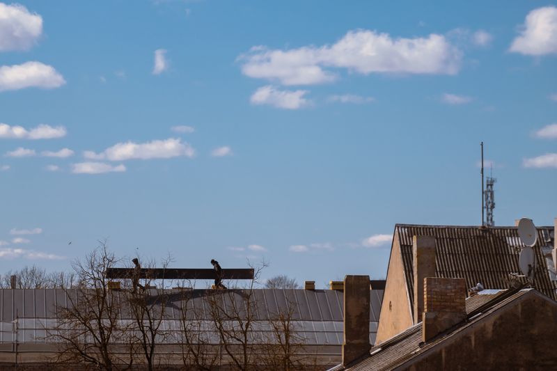 DIY vs Professional Roof Repair: What You Can (and Shouldn't) Do Yourself
