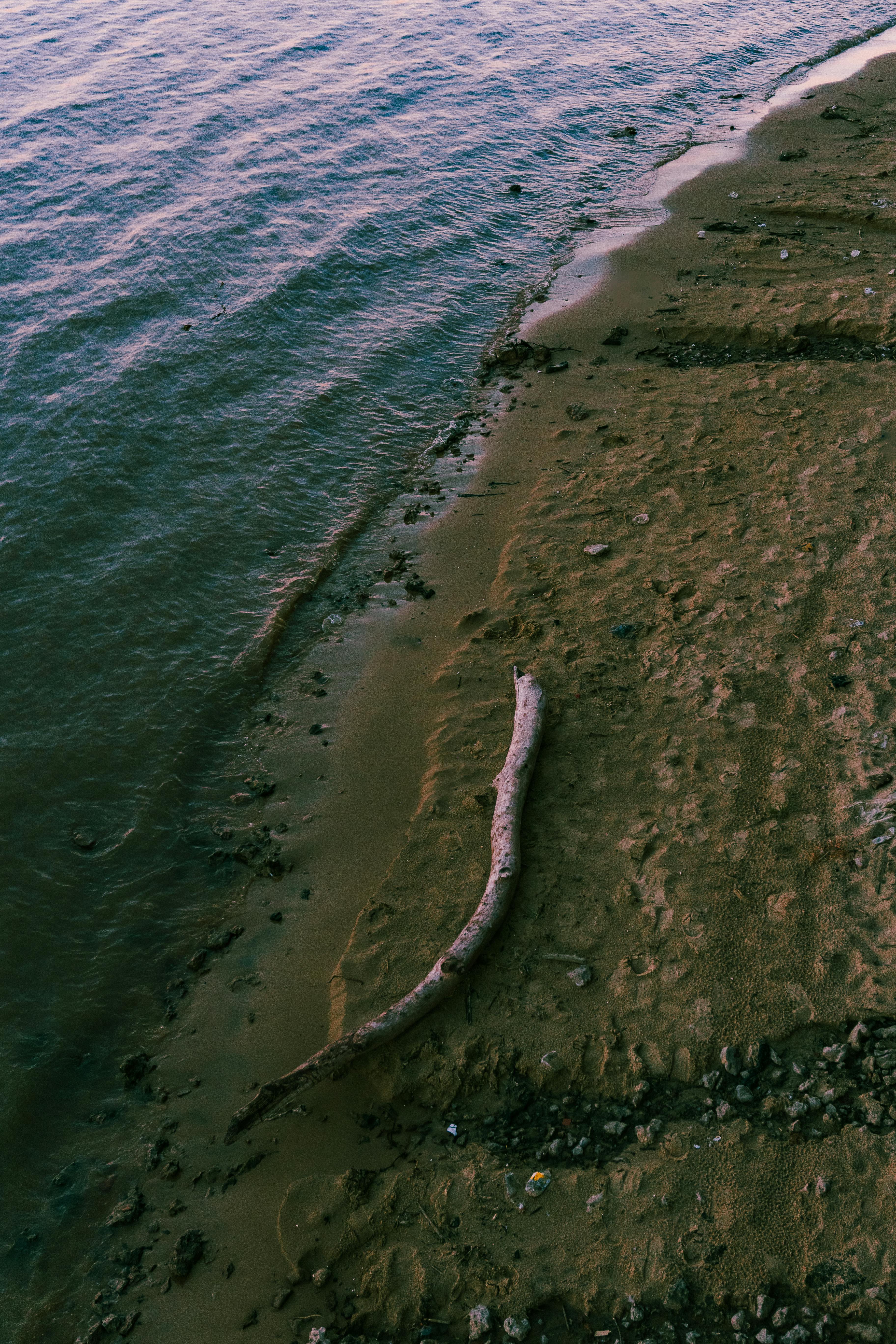 Tranquil view of the Rosario shoreline with water and sand at sunset. Ideal for nature and travel themes.