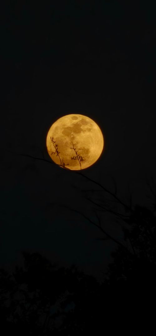 Free moon silhouette  S23 Samsung galaxy ultra  Stock Photo
