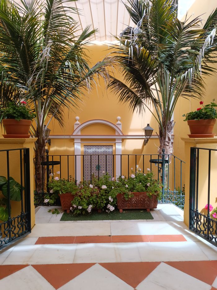 Stone patio surrounded by lush plants