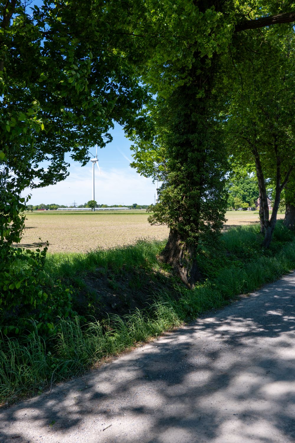 Serene Countryside Path with Wind Turbine · Free Stock Photo