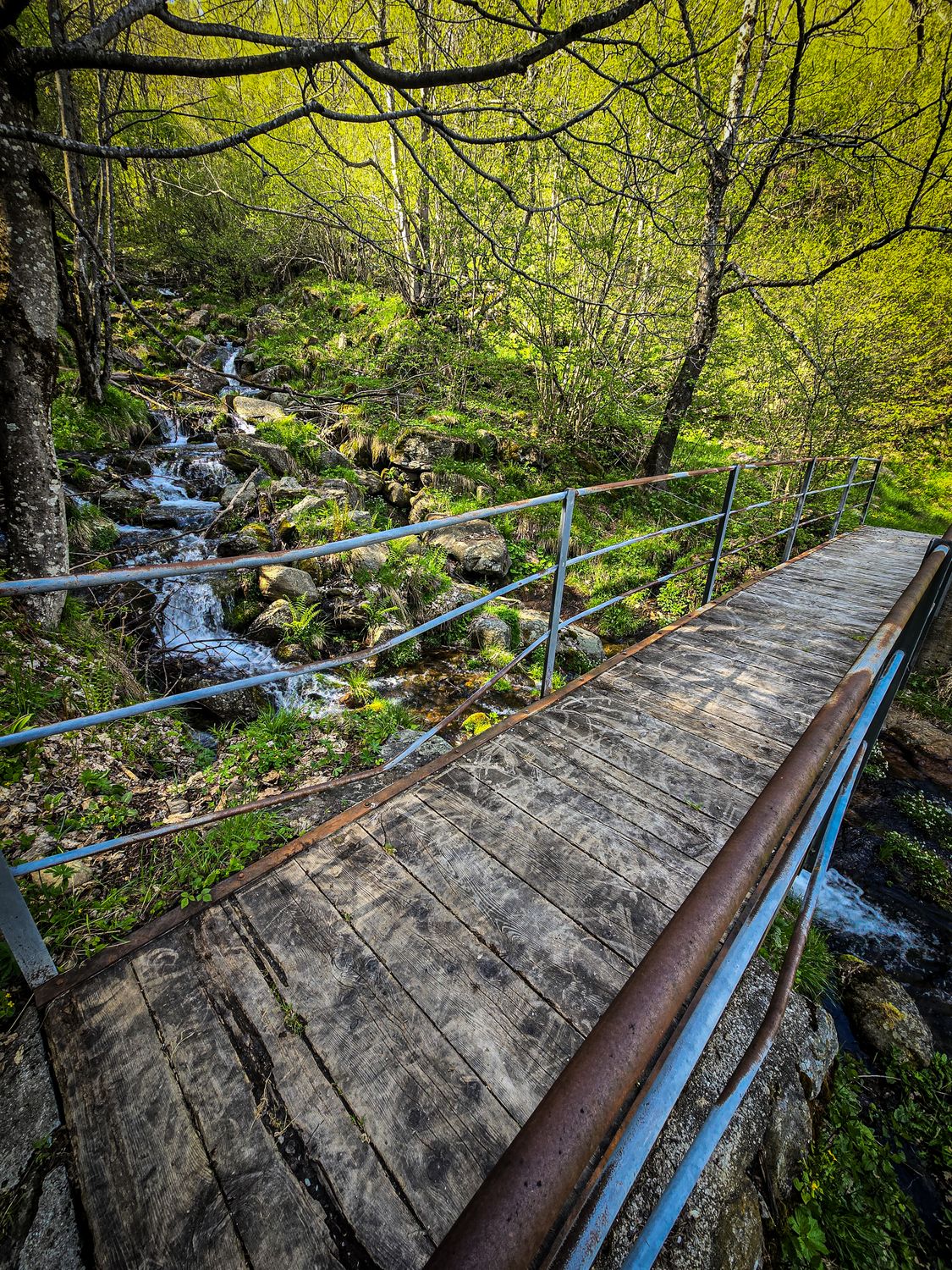 Forest Bridge Spring Rustic Wooden Bridge over Forest Stream · Free Stock Photo