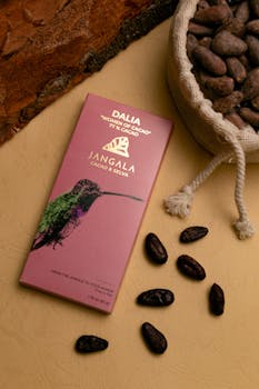Artisanal chocolate bar and cocoa beans in a natural setting, Chiapas, Mexico.