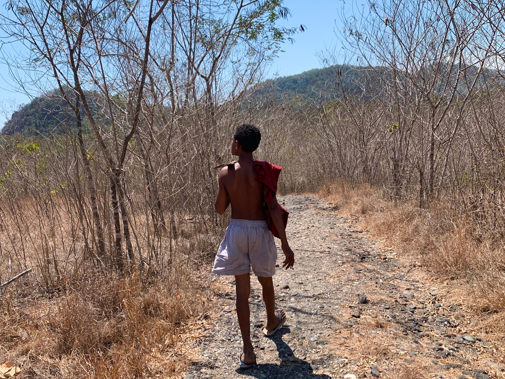 A young man walking down a dry forest trail under the bright sun, showcasing a natural landscape.