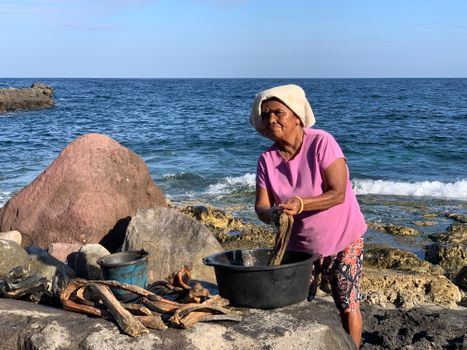 An elderly woman washes fish by the sea on a rocky coastline under a clear blue sky.