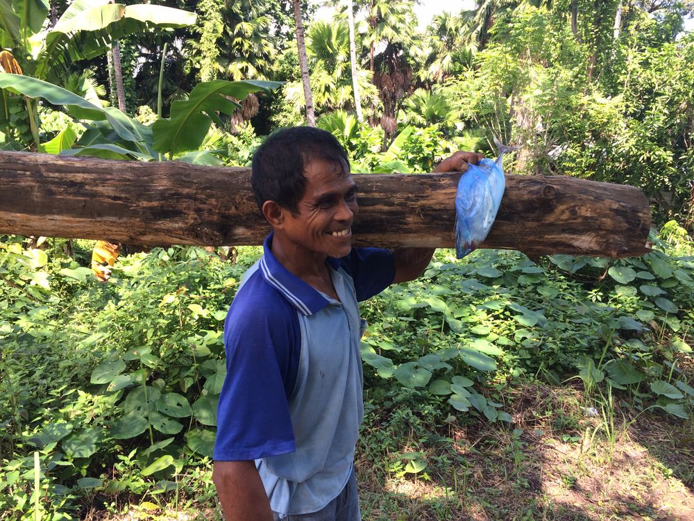 Log Man Smiling Man Carrying Log in Tropical Forest · Free Stock Photo