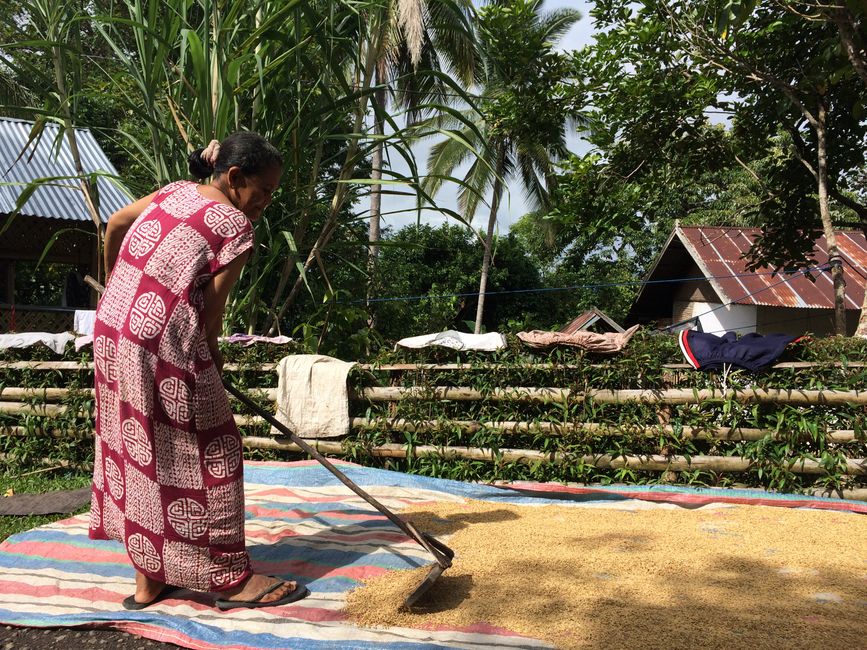 Mungkid sebagai Pusat Pemerintahan: Menelusuri Jejak Ibu Kota Kabupaten Magelang