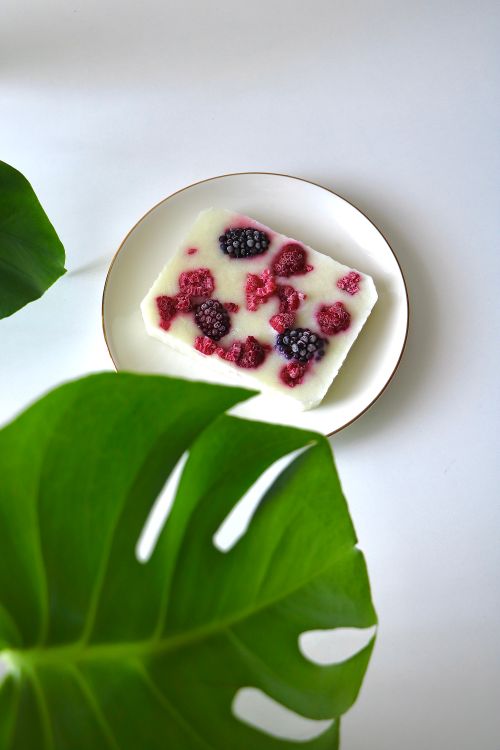 Free Delicious frozen yogurt bar with fresh berries on a white plate. Perfect summer treat. Stock Photo