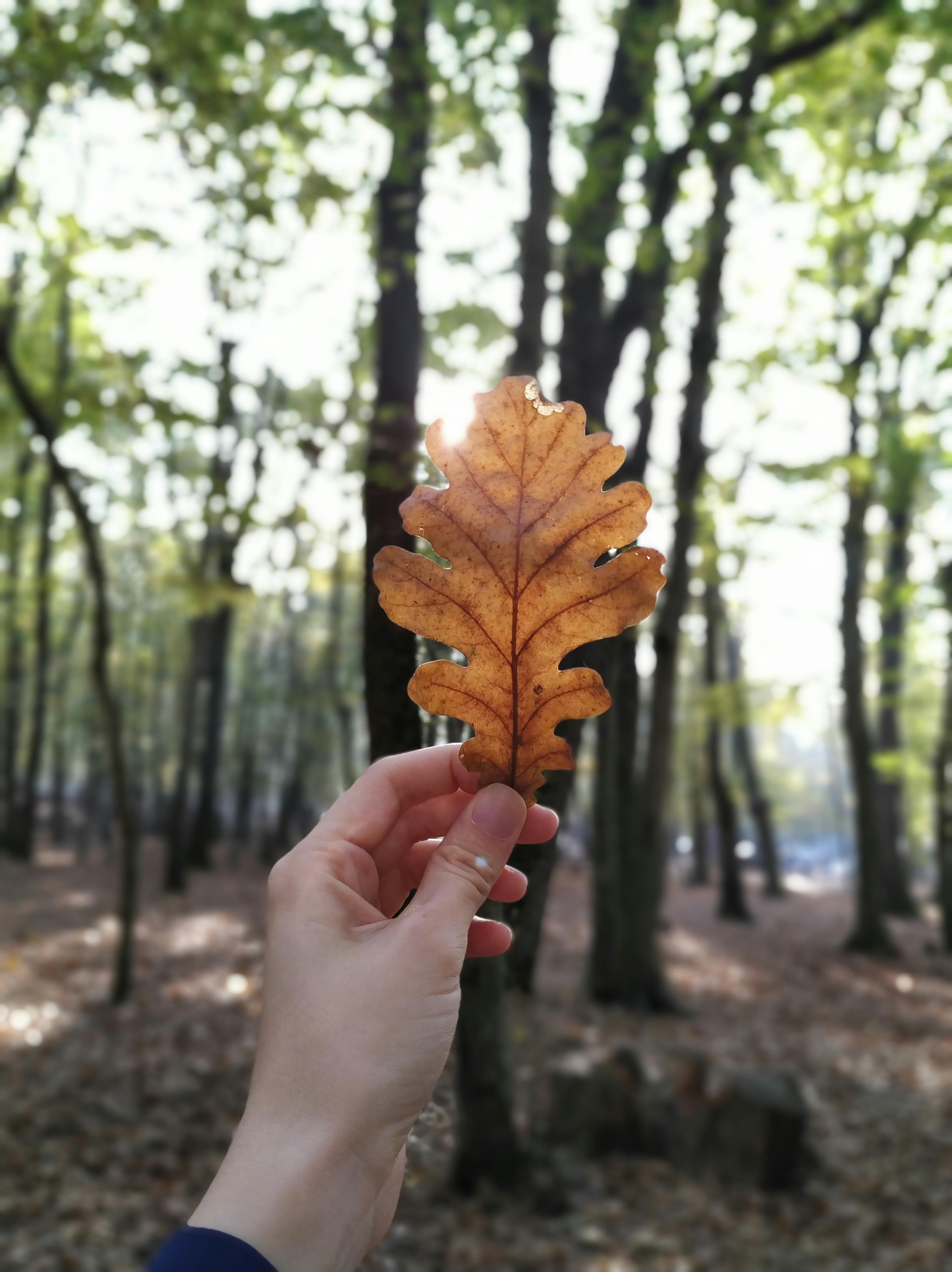 Multiple screens showing video calls and collaborative online workspaces