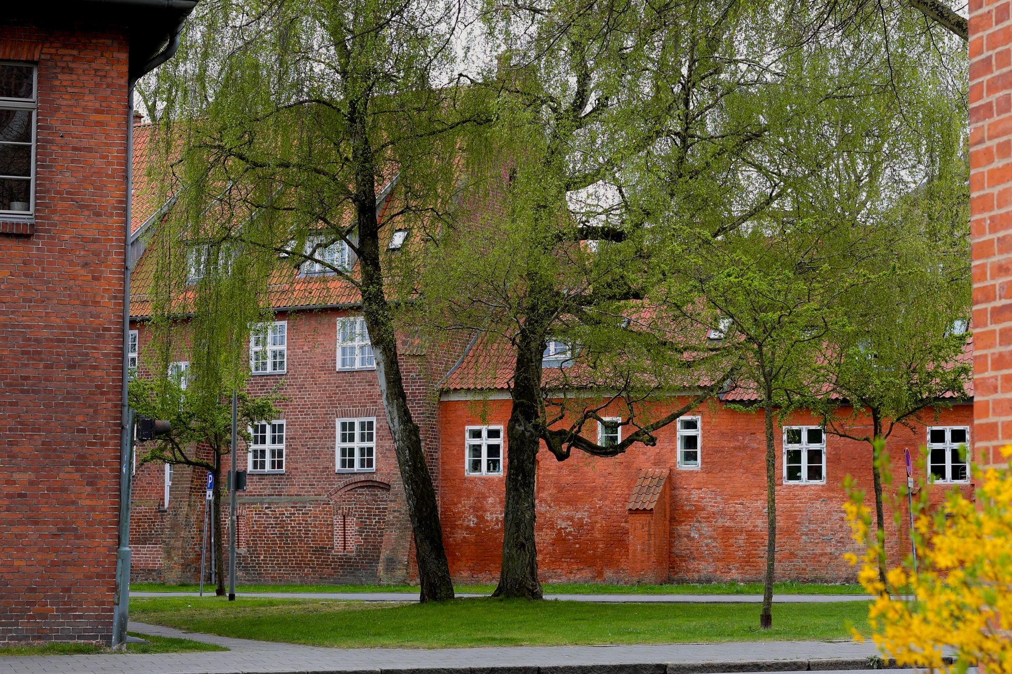 Universitäts- und Hansestadt Greifswald